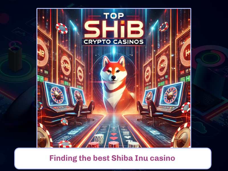 Finding the best Shiba Inu casino